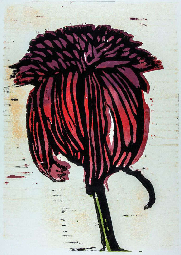 Echinacea<br><small>4-tone Linoprint</small>
