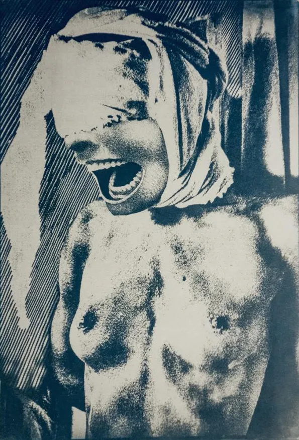 The Cry I<br><small>cyanotype</small>