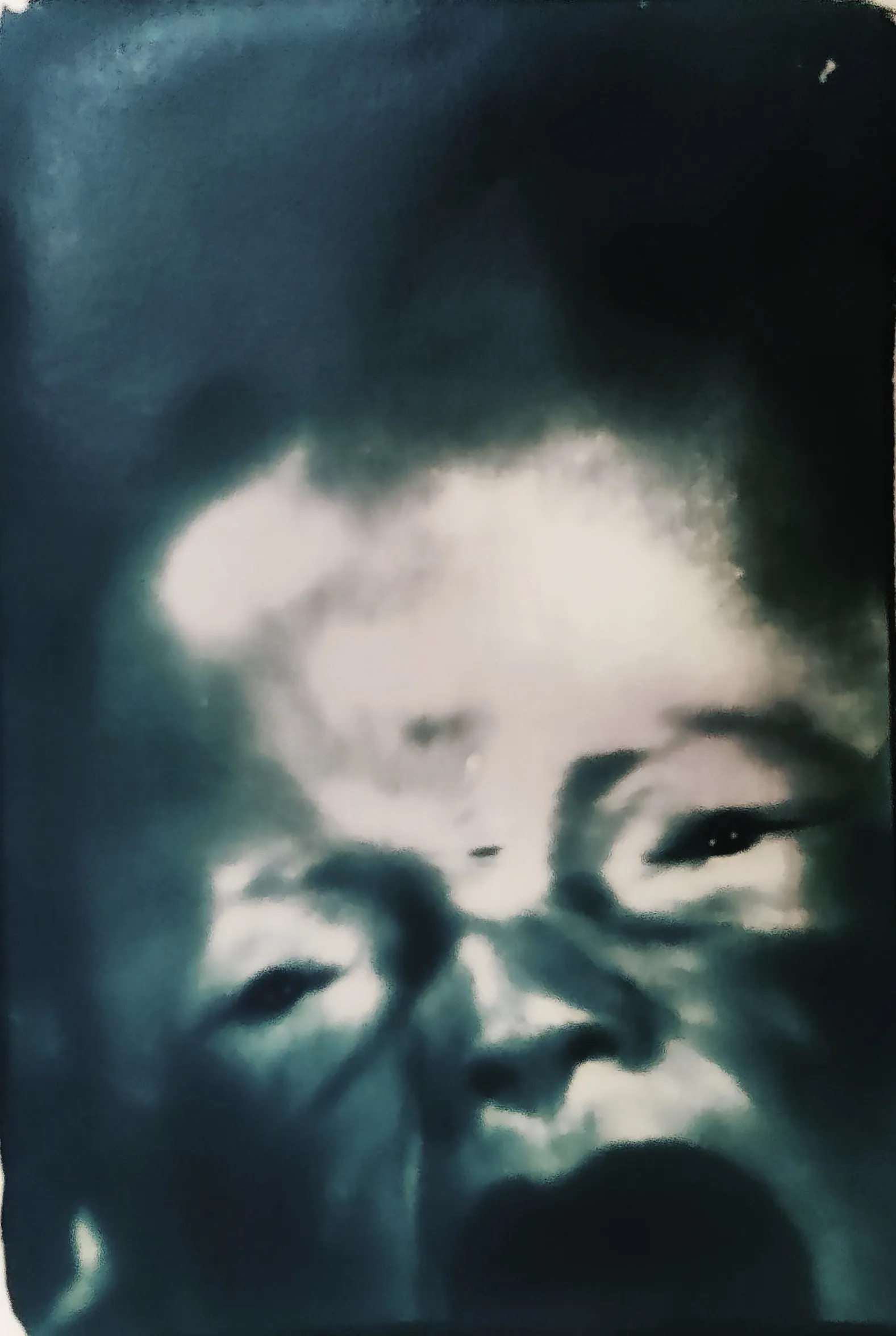 <br>In troubles<br><small>cyanotype</small>
