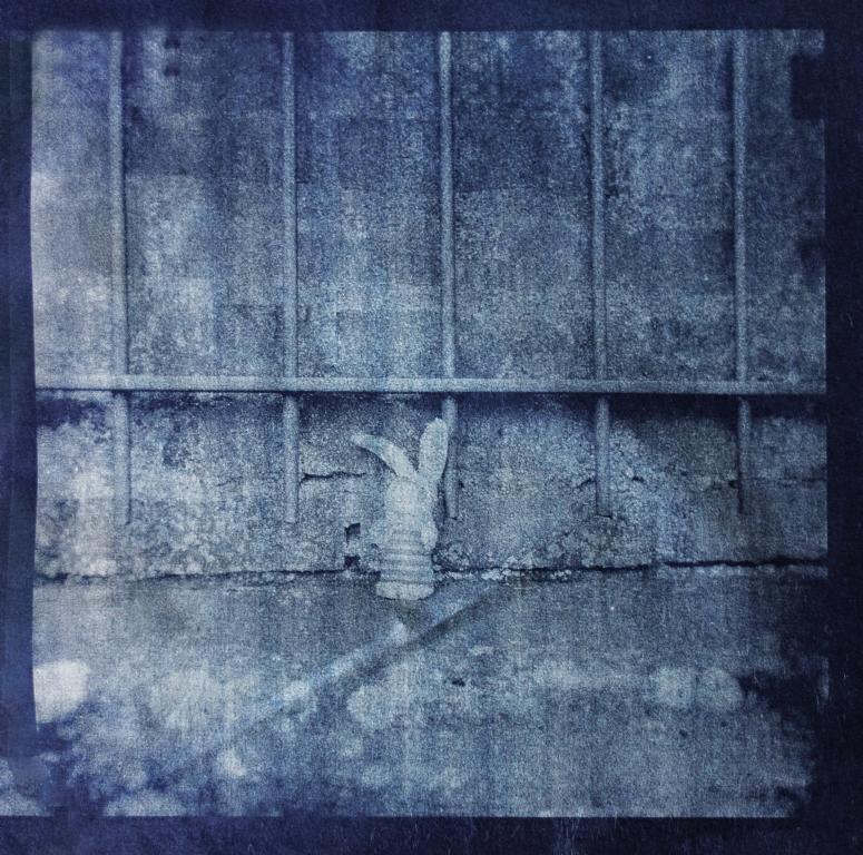 <br> <br><small>cyanotype</small>